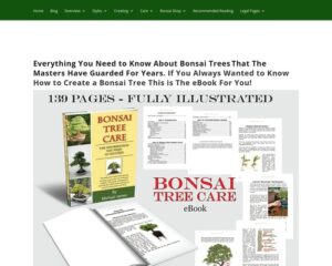 Advisable Examining – bonsaitrees-madeeasy