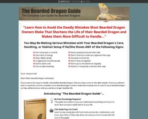 The Bearded Dragon Information » How to Care for Bearded Dragons