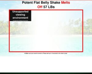 (2) Historic Body fat Melting Super-Shake