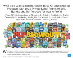 PLR Blowout – 55 Niche eBook Products with Full Private Label Rights