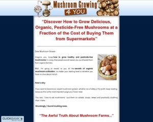 Mushroom Escalating 4 You – Stage-By-Phase How To Expand your Extremely Have Mushrooms at Dwelling